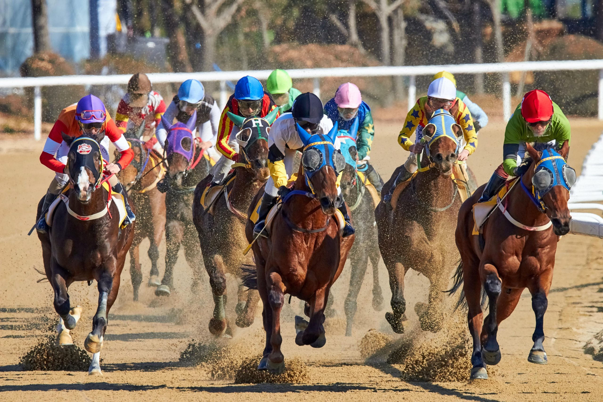 del mar races